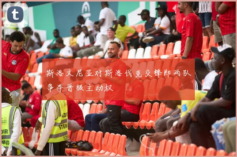 斯洛文尼亚对斯洛伐克交锋即两队争夺晋级主动权